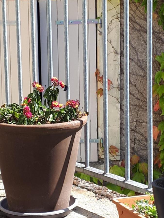La Maison Haute Tigne Bagian luar foto