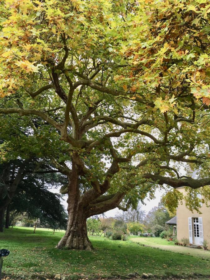 La Maison Haute Tigne Bagian luar foto